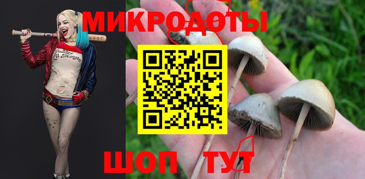 Псилоцибиновые грибы мицелий  Псилоцибиновые грибы Psilocybine cubensis  Миллерово  Вход с VPN 